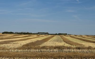 Heartland Regional Newsletter May 2025